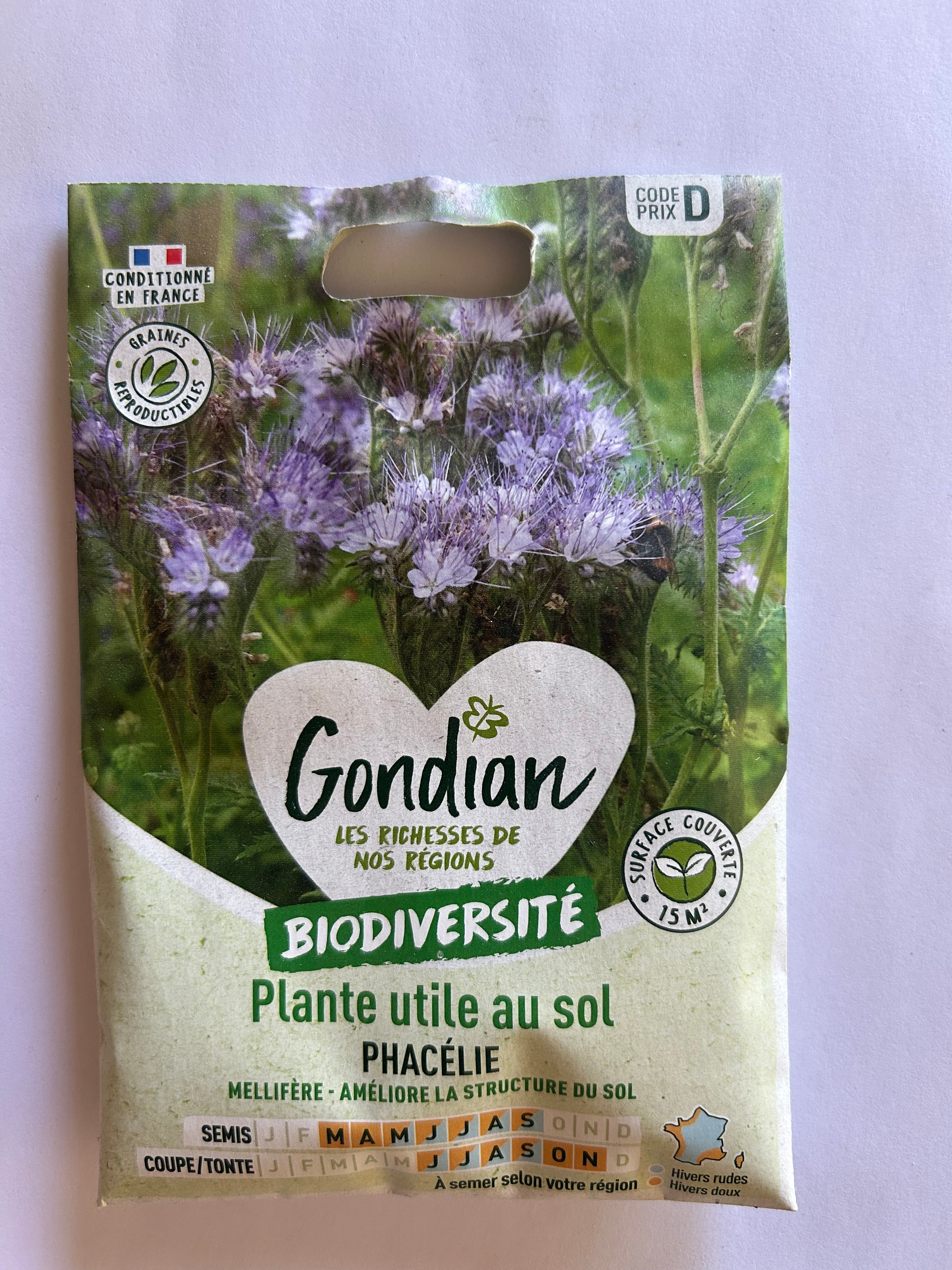 PHACÉLIE – Plante utile au sol