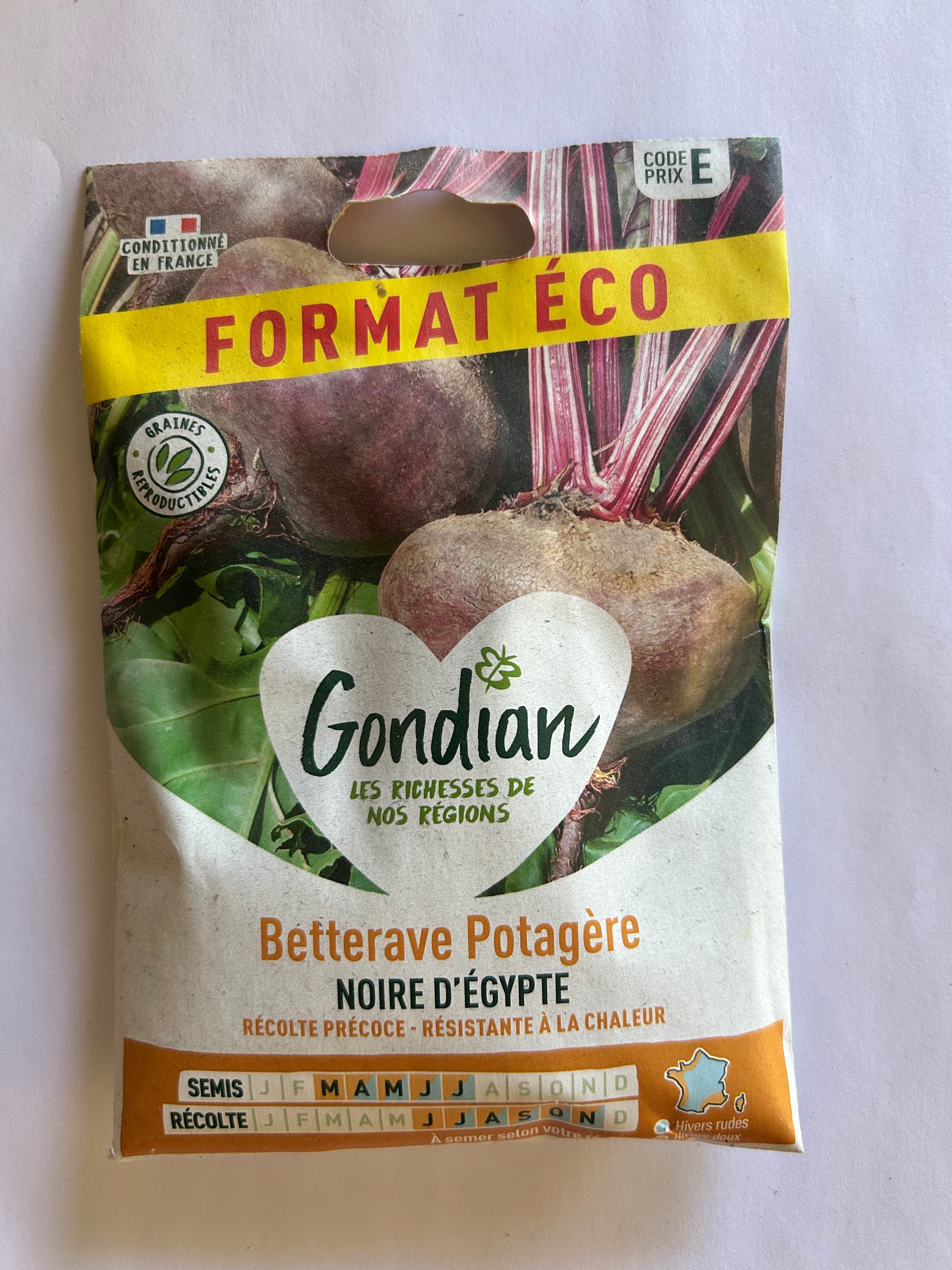 Betterave Potagère Noire d’Égypte