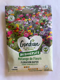 Mélange de Fleurs Biodiversité