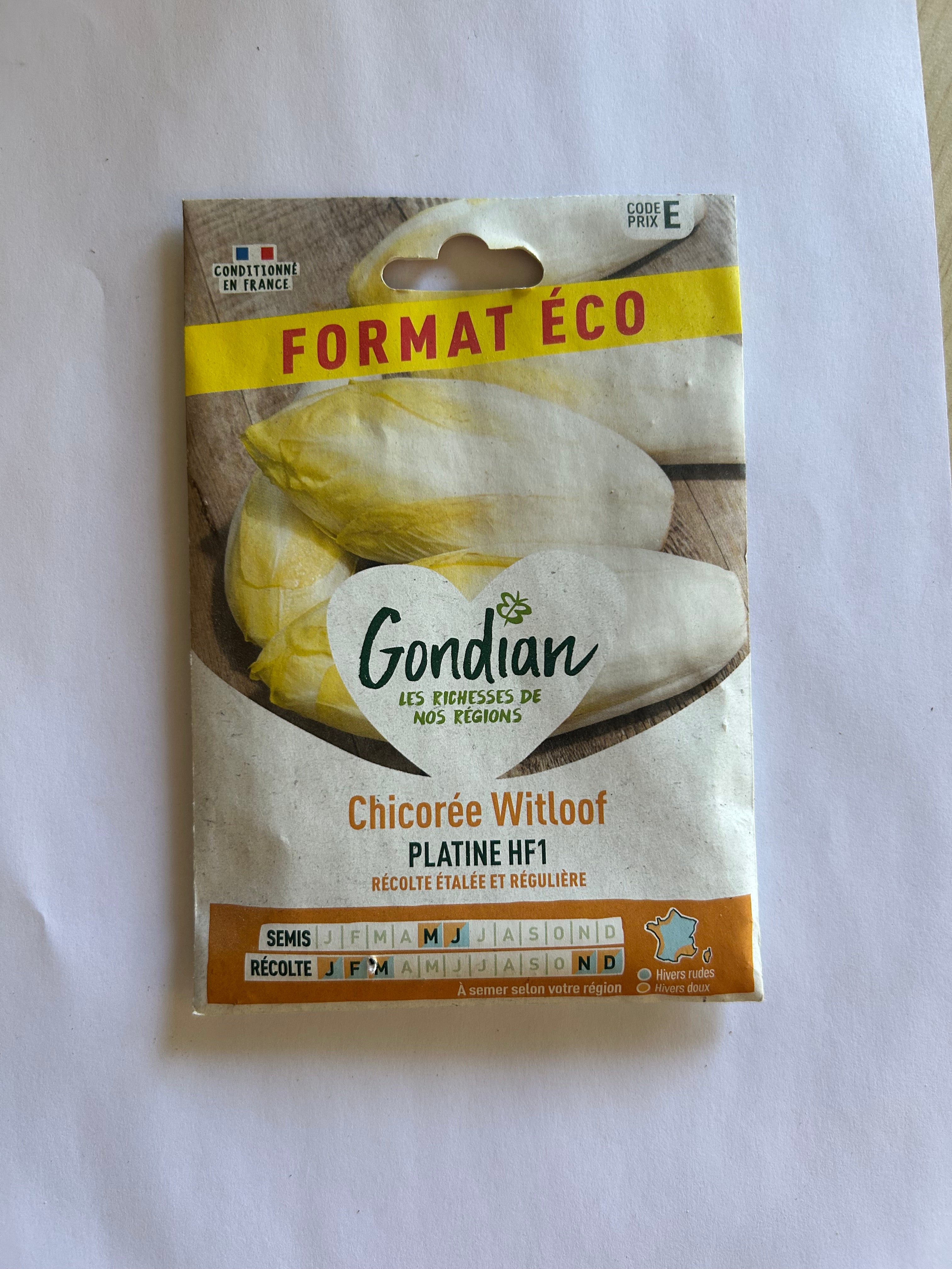 Chicorée Witloof platine f1