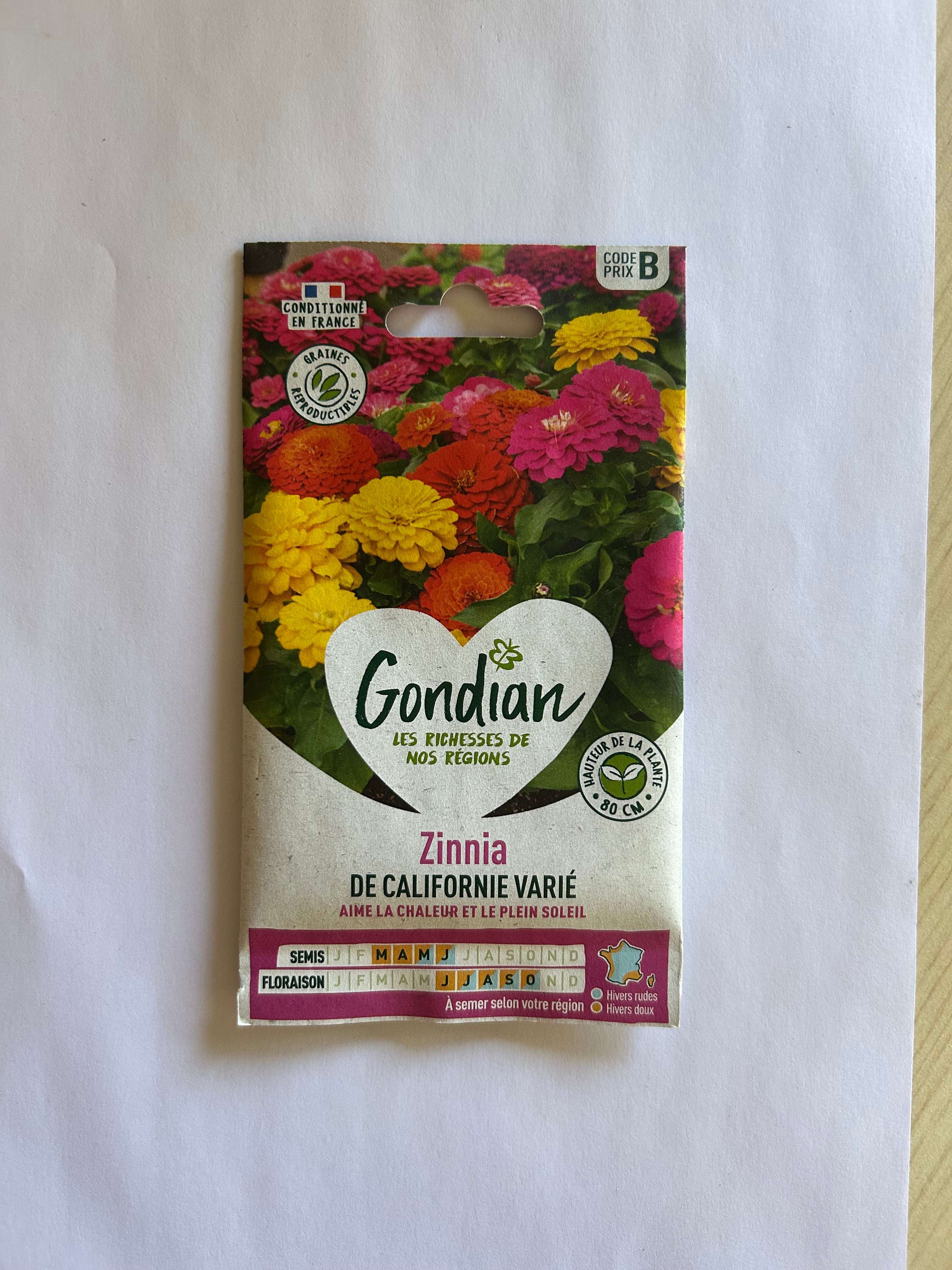 Zinnia de Californie varié