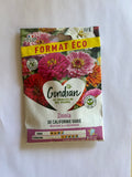 Zinnia de Californie Format éco