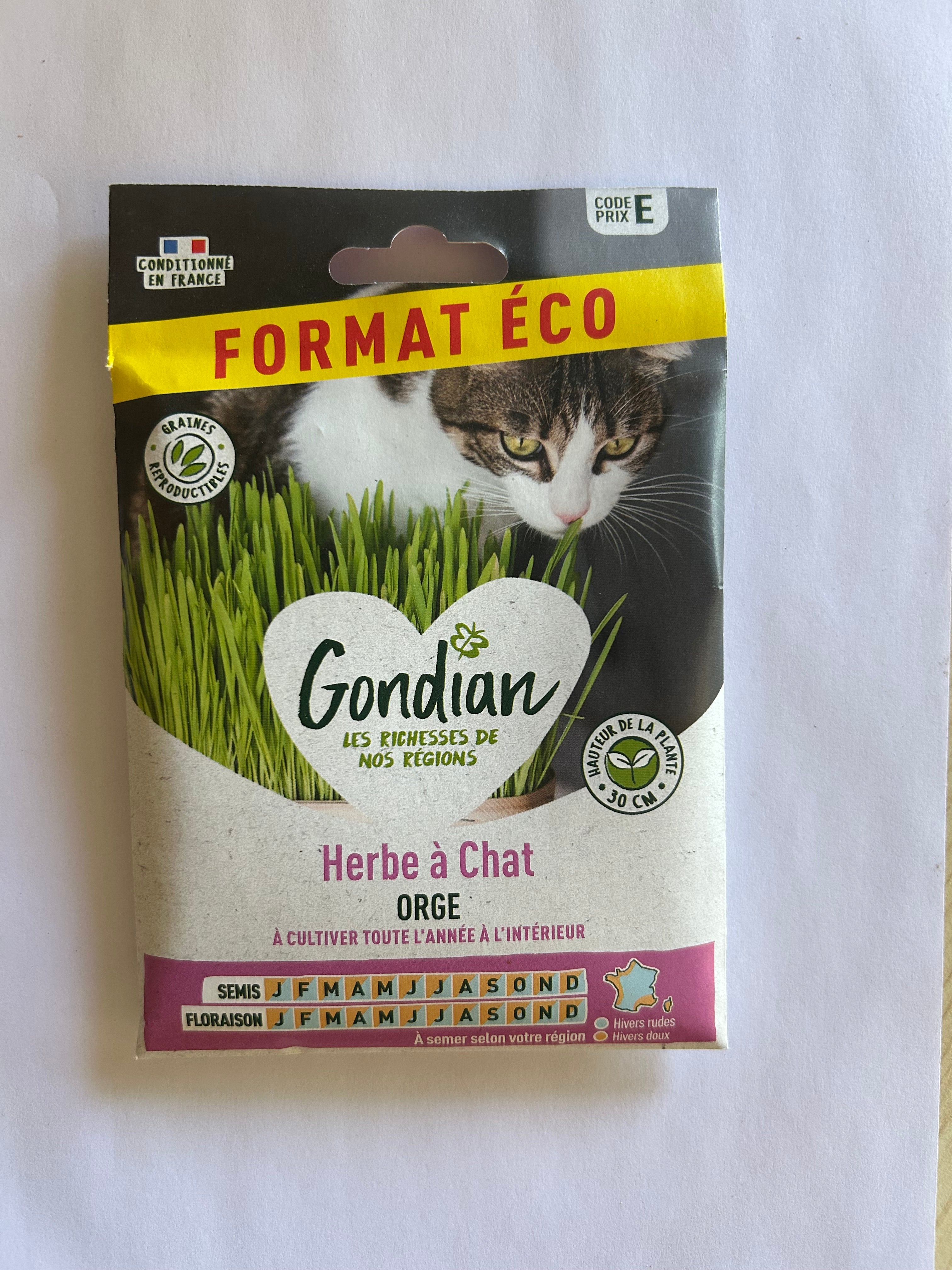 Herbe à chat format éco