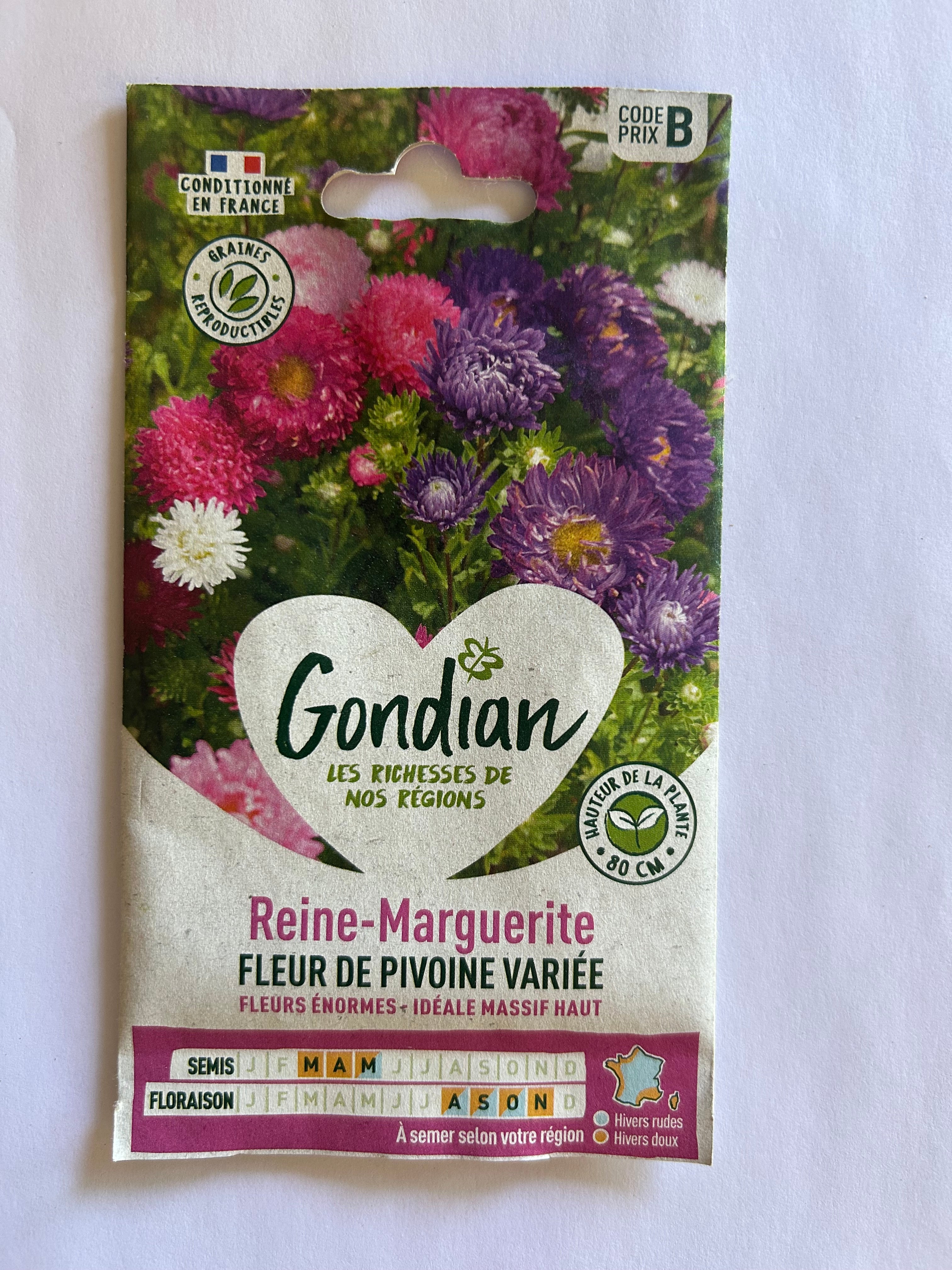 Reine Marguerite fleur de pivoine variée