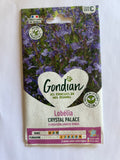 Lobelia Crystal palace