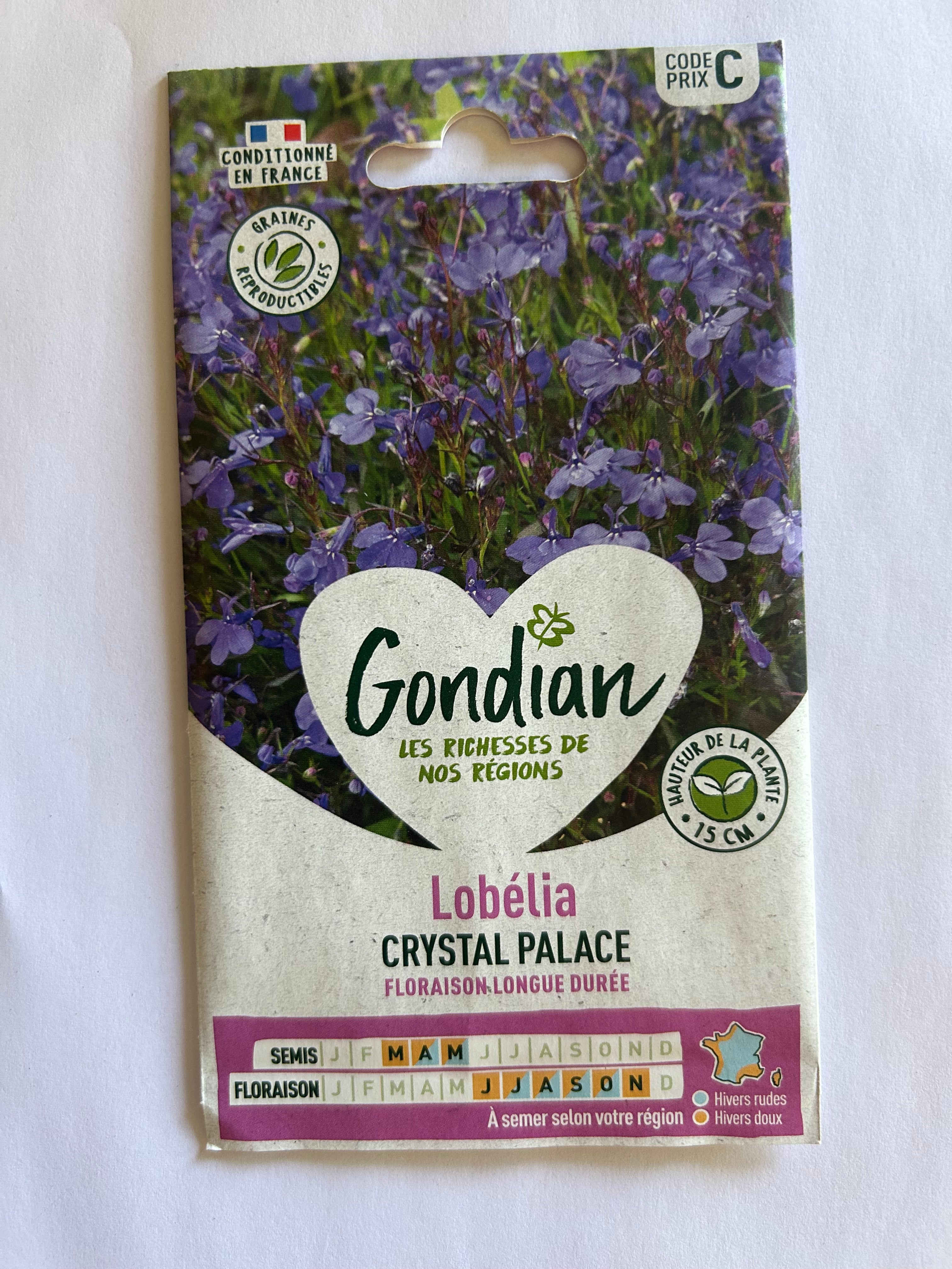 Lobelia Crystal palace