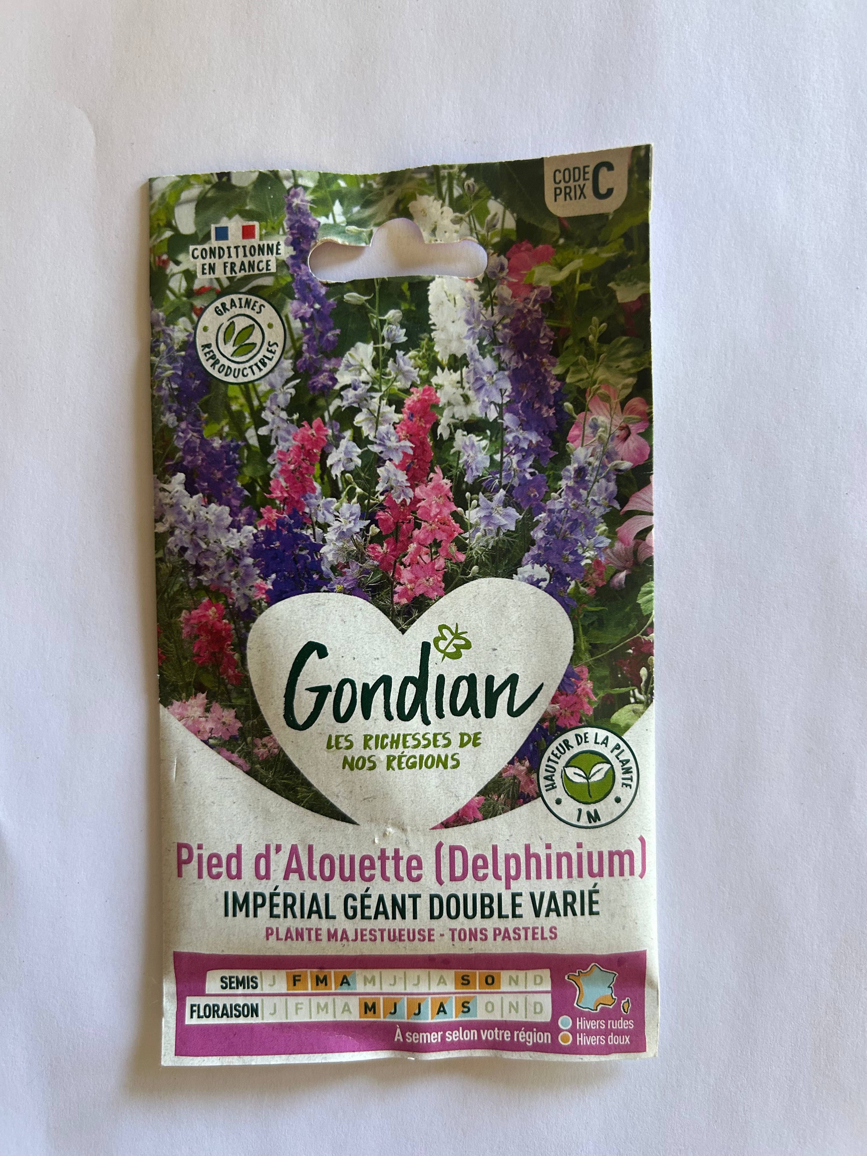 Pied d'alouette (Delphinium)