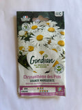 Chrysanthèmes des prés