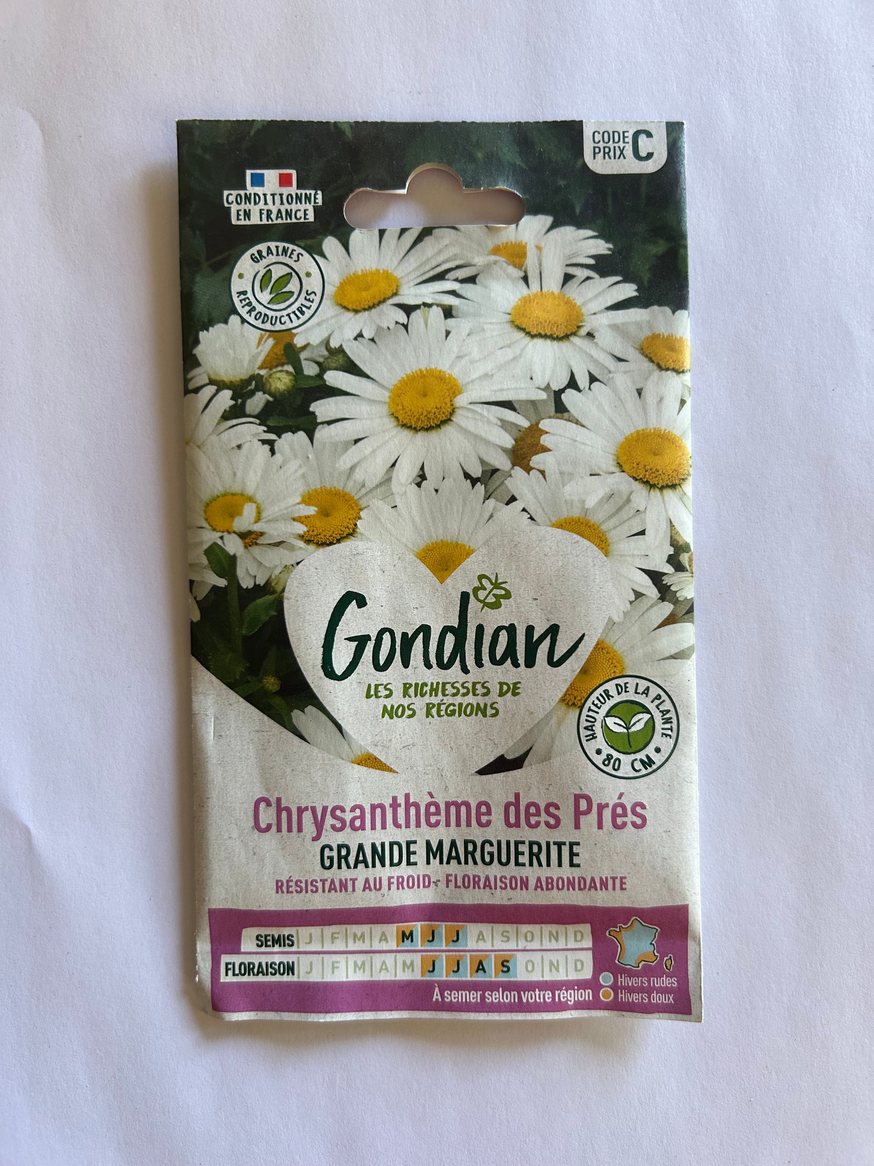 Chrysanthèmes des prés