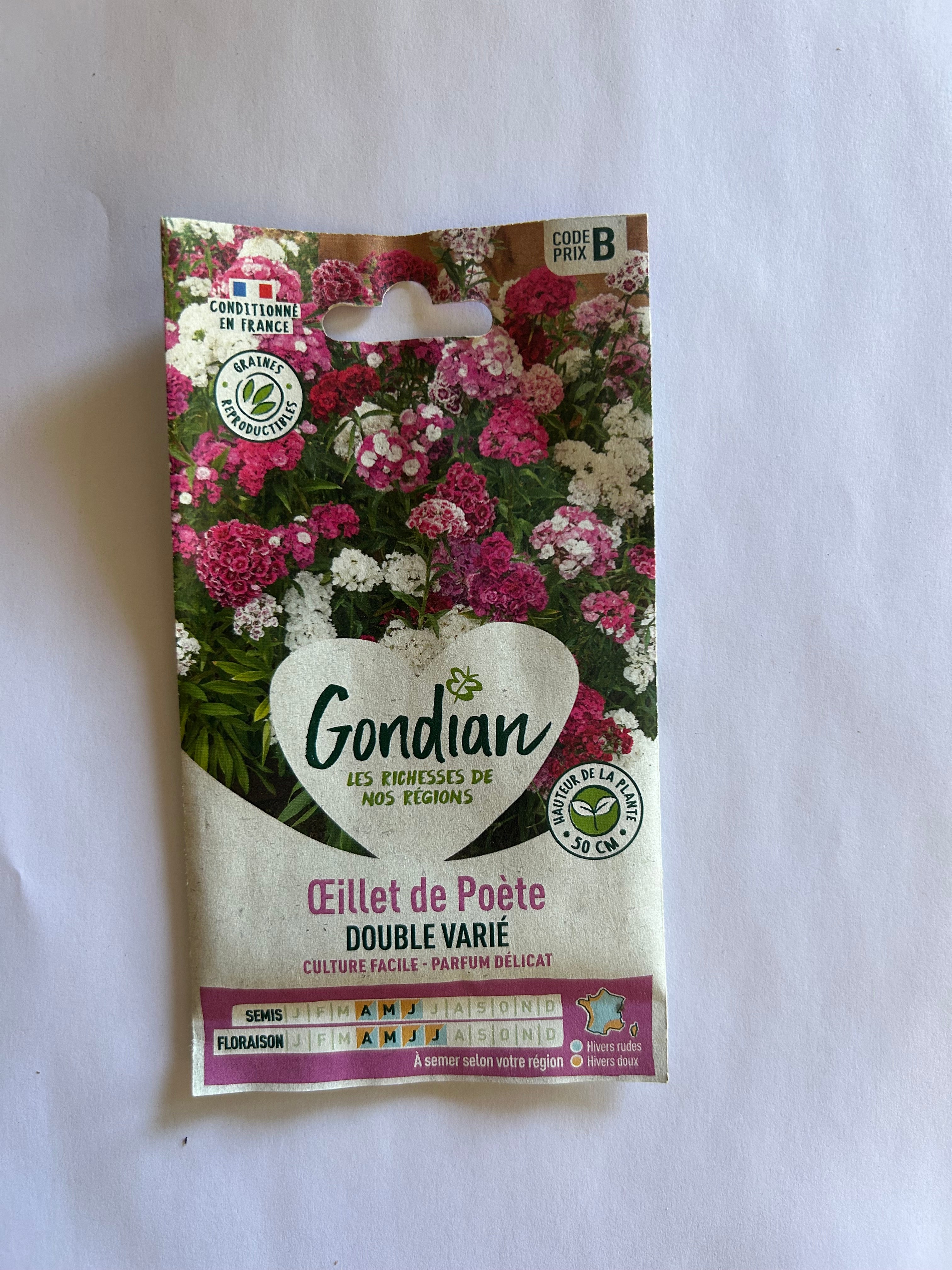 Œillet de poète double varié