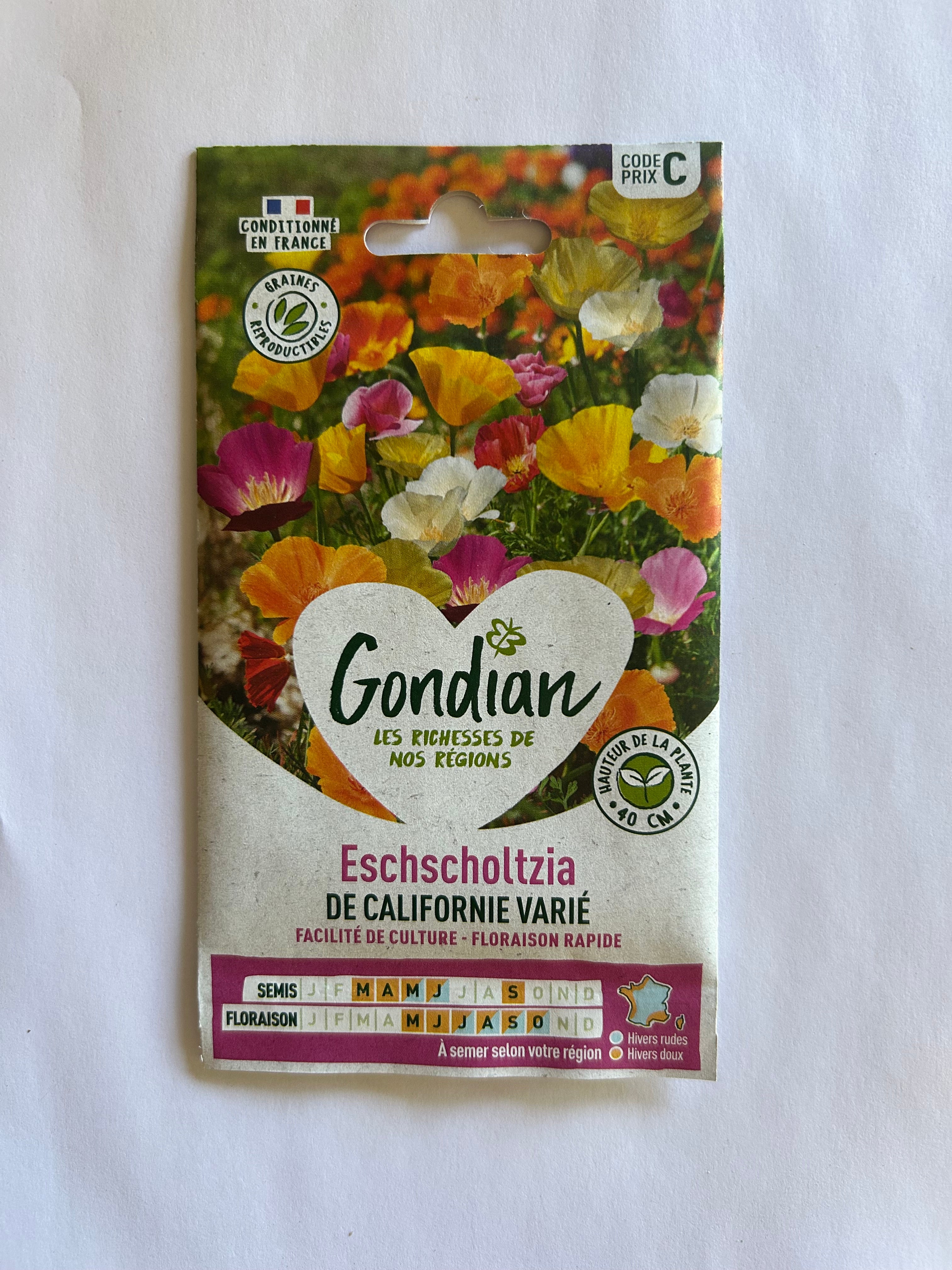 Eschscholtzia de Californie