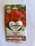 Coquelicot Rouge