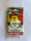 Capucine Double Grande Variée