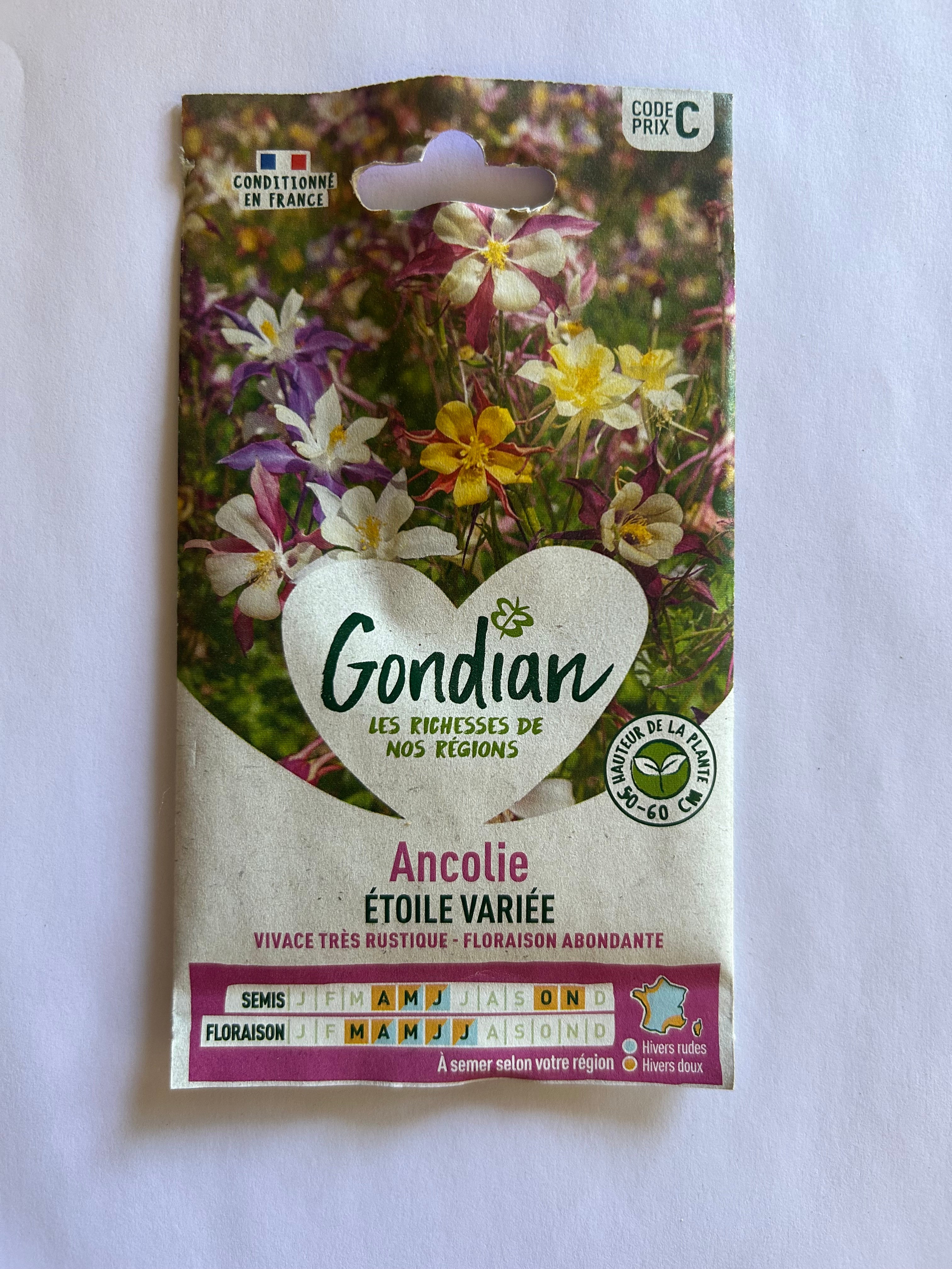 Ancolie étoile Variée