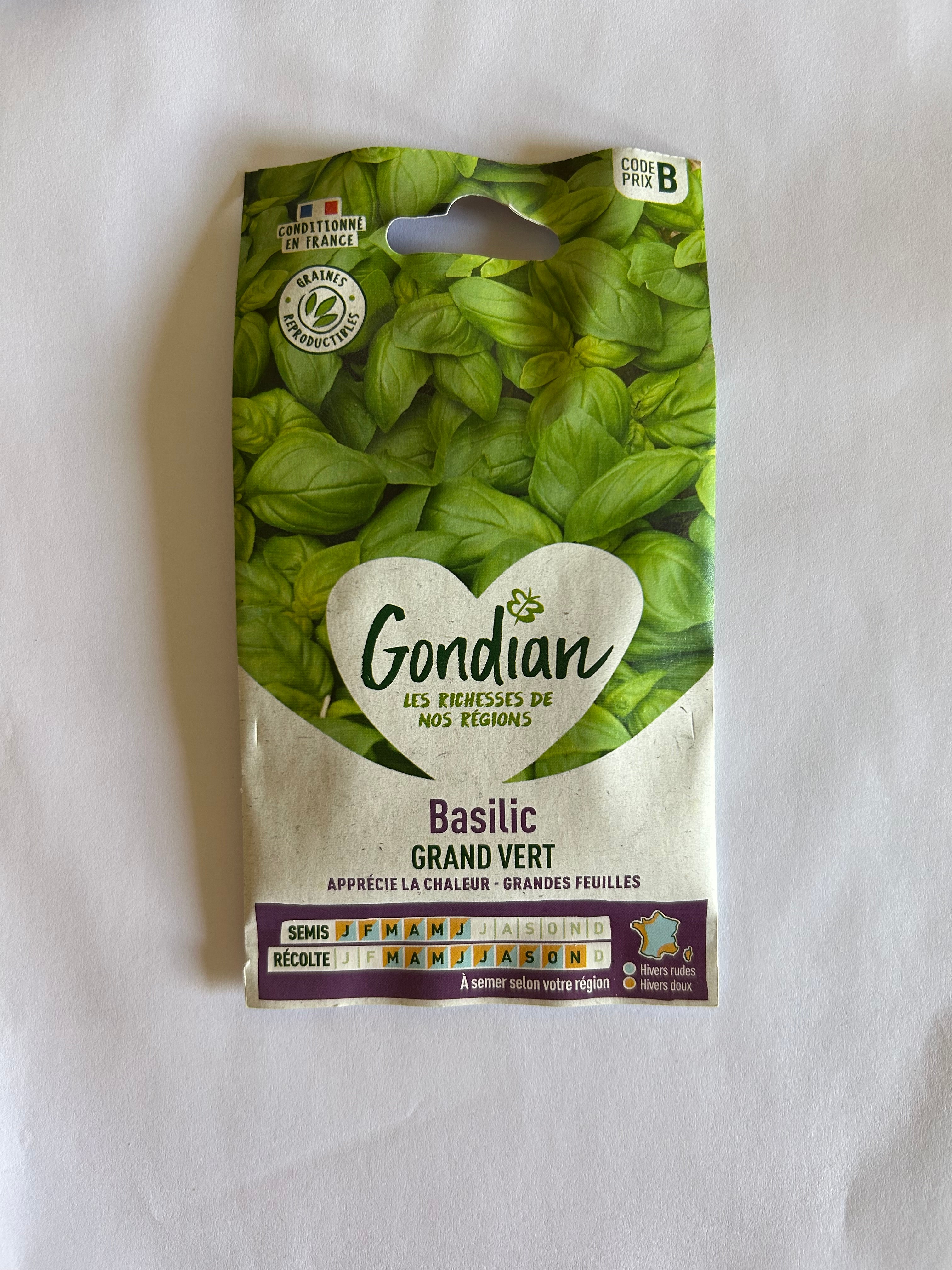 Basilic Grand vert