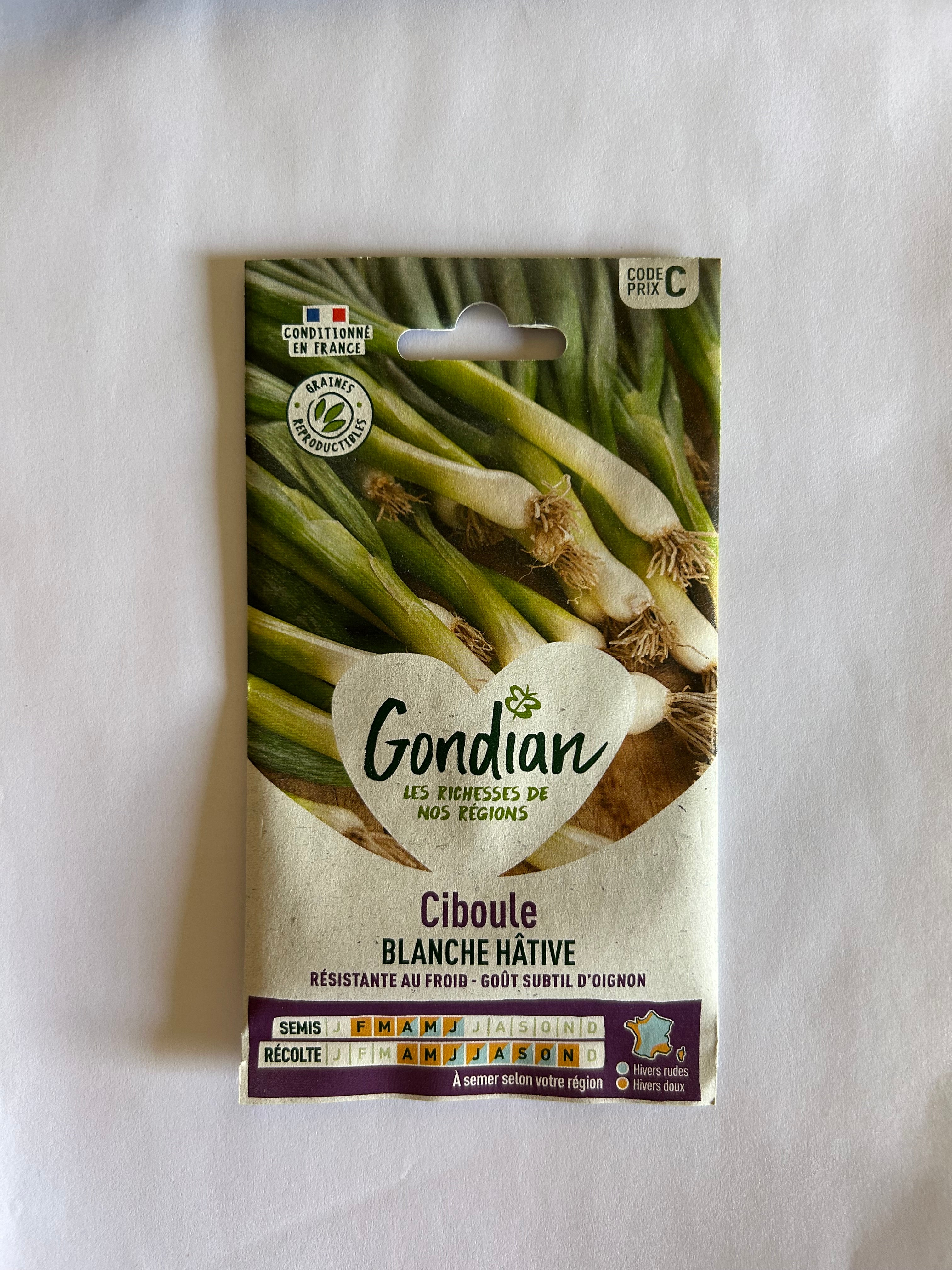Ciboule Blanche Hâtive