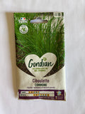 Ciboulette commune