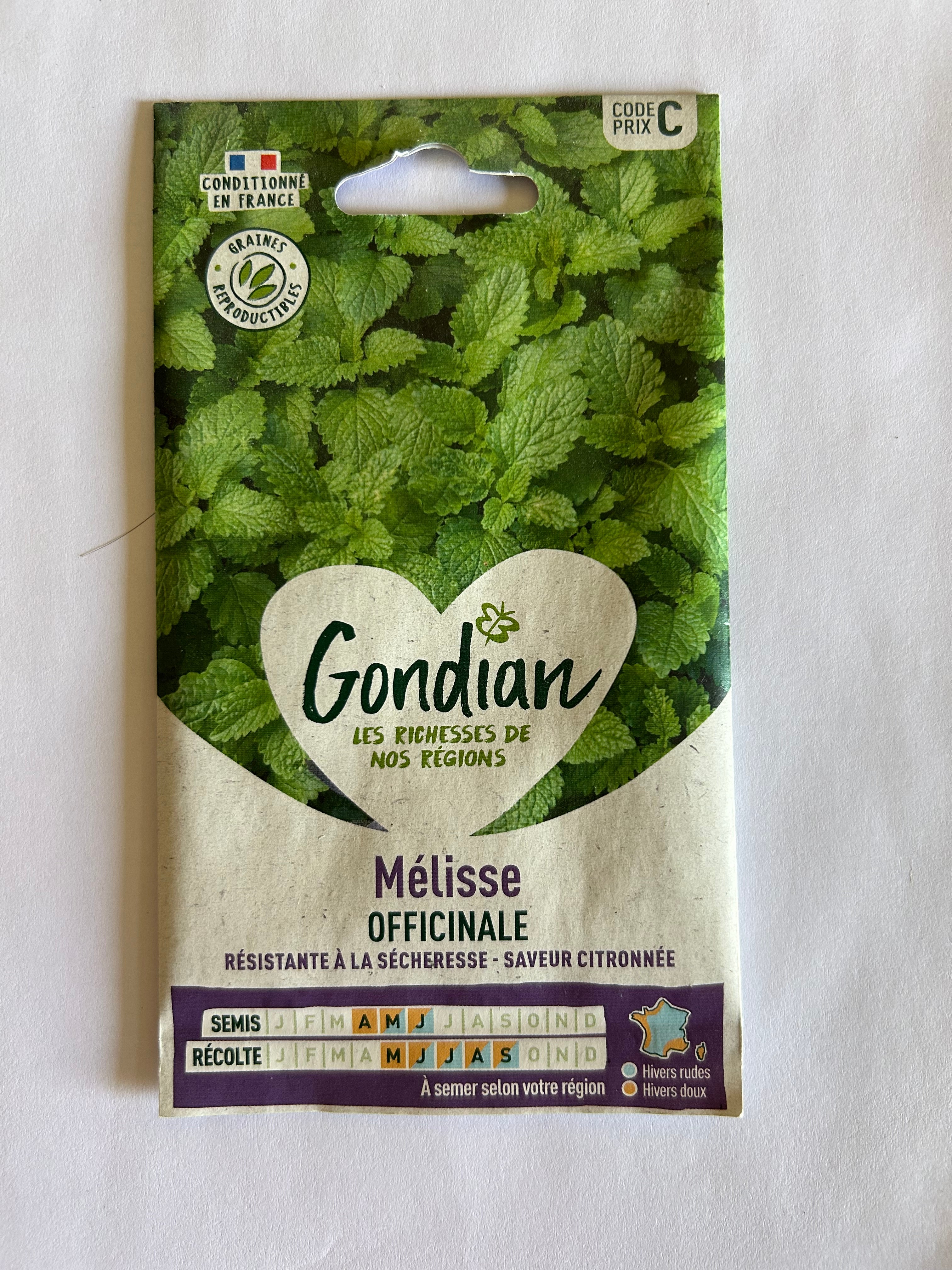 Mélisse officinale